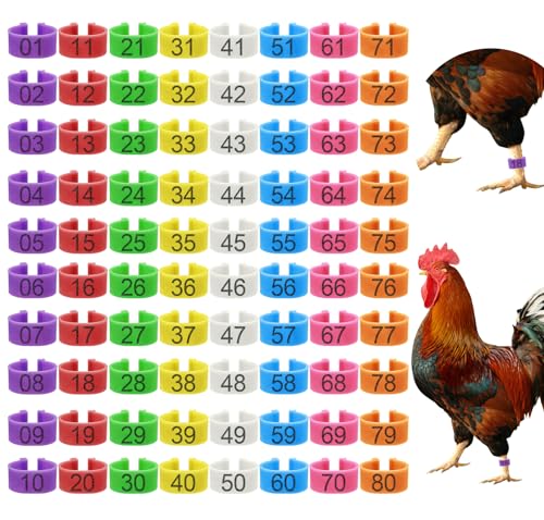 EZEELAI 80 Pcs 16mm Chicken Leg Bands with 8 Colors Colorful 01-80 Numbered Chicken Identification Leg Bands Duck Poultry Foot Tags for Ducks Bantam Guinea Pigeons Goose Gamefowl