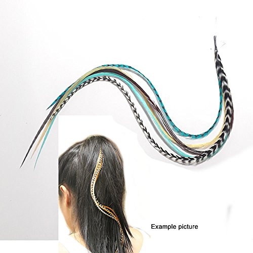 Feather Hair Extension 5 Genuine 8"-10" Turquoise,Brown,White & Grizzly Feathers For Hair Extension #TOP3