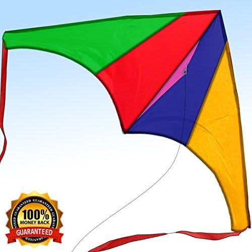 2017 Limited Edition - Easy Flyer Kite for Kids & Adults - Newest Model, Full Kit with Handle & String - Today Get 100% - Have Fun and Build Priceless Memories - Limited Supplies by Kite Perfect