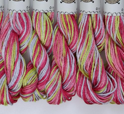 Image of KCS Big skeins of 25 Meters Size 25 Color Variegated Cross Stitch Stranded Threads,6 skeins,4502