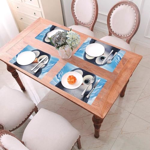 Set de table lavable anti-tache en vinyle pour protéger la table de salle à manger - 7