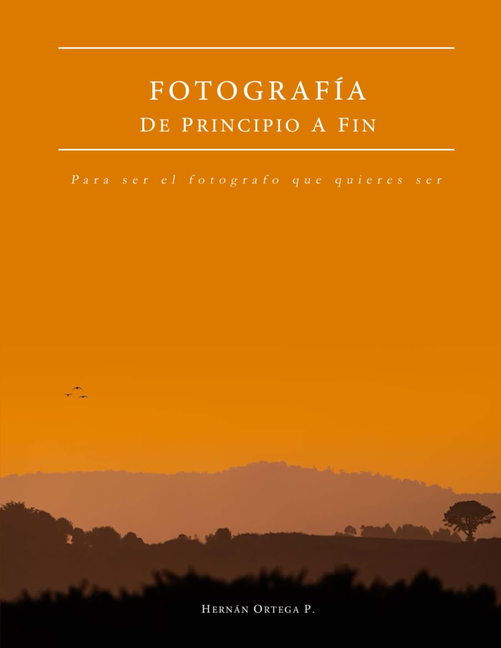 Fotografía - De principio a fin: Para ser el fotógrafo que quieres ser