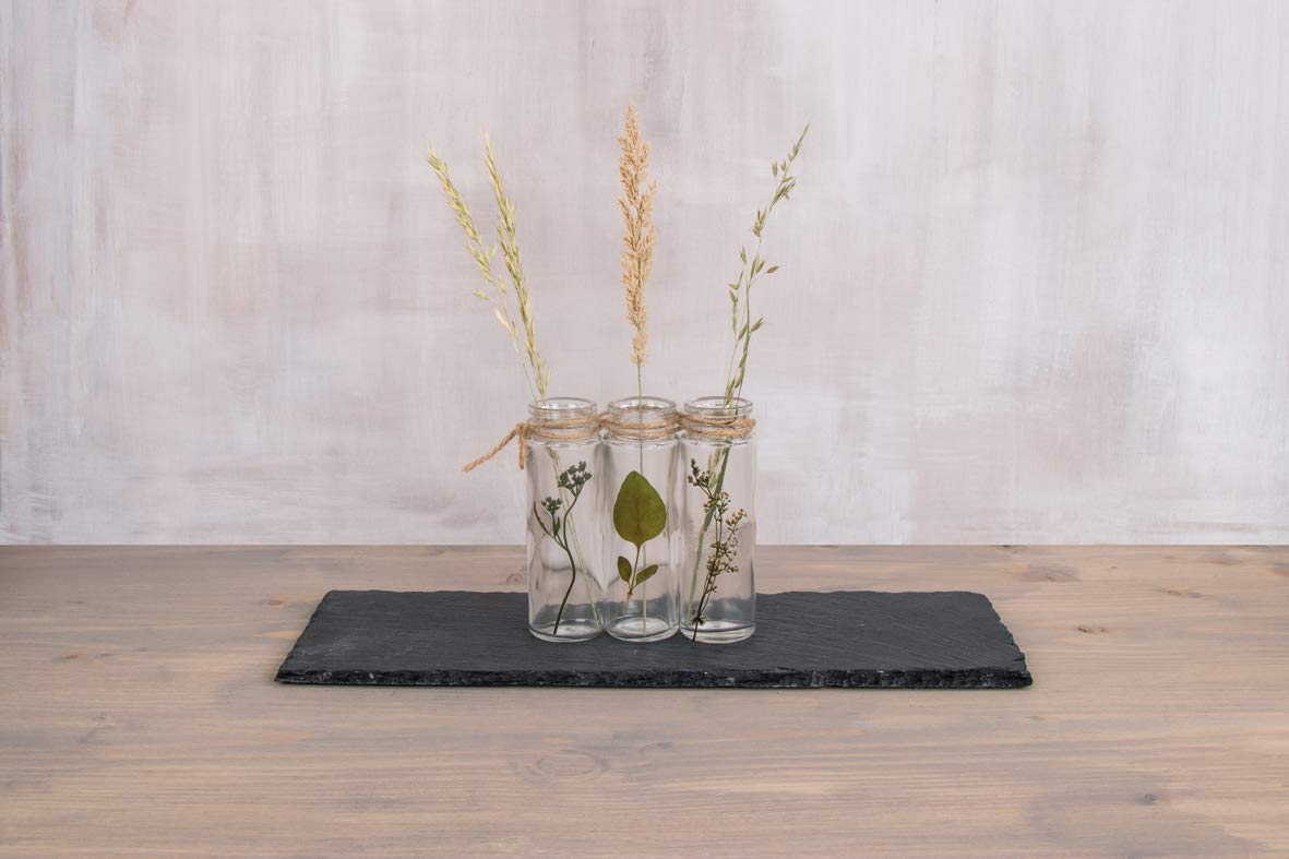 Rayher Kit de prensado de flores, 21x30 cm, para hojas y flores secas, 27000505