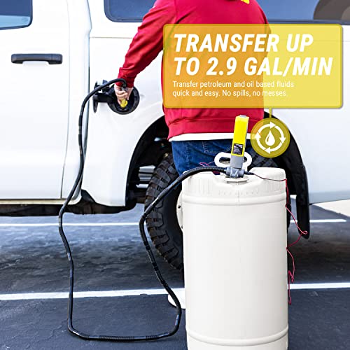 Tera Pump Trep03-Txl Multipurpose Powered Liquid Transfer Pump, 110V Ac / 12V Dc, 2.9 Gpm, 10-Ft Discharge Hose (Great For Gas Diesel/Kerosene And More) #TOP1