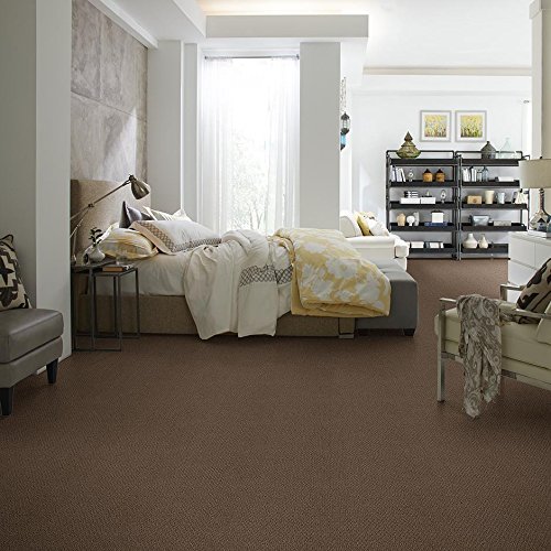 KOECKRITZ8' x 10' Soft Nylon Textured Loop Area Rug (Townhouse)