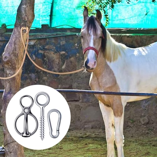 Anilla de sujeción para remolques en acero inoxidable resistente para cuidar caballos 2
