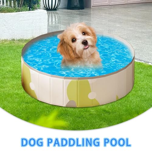 Hundepool Katzenschwimmbad, Tierbadwanne Anti-Rutschfaltbar Tragbarer Splash-Pool, Tierbadewanne Im Freien, Kinderpool Für Welpen Kätzchen Kinderspiel Backyard Wasserspaß Familie Sommeraktivität