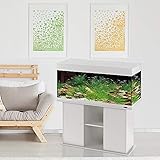 acquario ferplast cayman 80  Acquario Ferplast DUBAI 120 LED vetro resistente accessoriato bianco nero 240 L