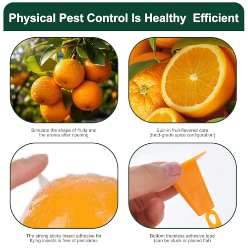Atrapamoscas pegajoso exterior impermeable con cebo para control de insectos 6