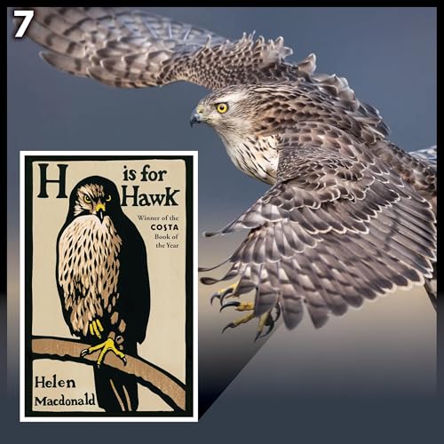 Episode 7: "Hands are for other human hands to hold" &ndash; H is for Hawk by Helen Macdonald: Grief, Wilderness, and the Limits of Escape