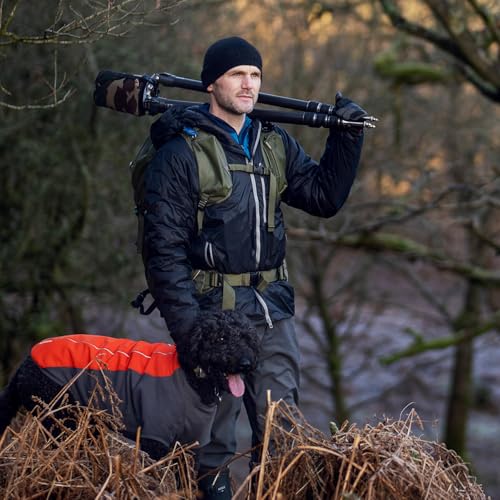 Ep 252 - Healing through Woodland Photography with Simon Baxter
