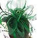 Fascinators Hats 20s 50s Hat Pillbox Hat Cocktail Tea Party Headwear with Veil for Girls and Women (US, Alpha, One Size, A-Green)