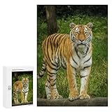 【Taille et matériau】Taille du puzzle en bois: 300pcs (38x26cm)；500pcs (52x38cm), 1000pcs (75x50cm); Taille du puzzle en papier: 38x26cm/1000pcs. Recommandé pour adultes et enfants de 12 ans et plus.