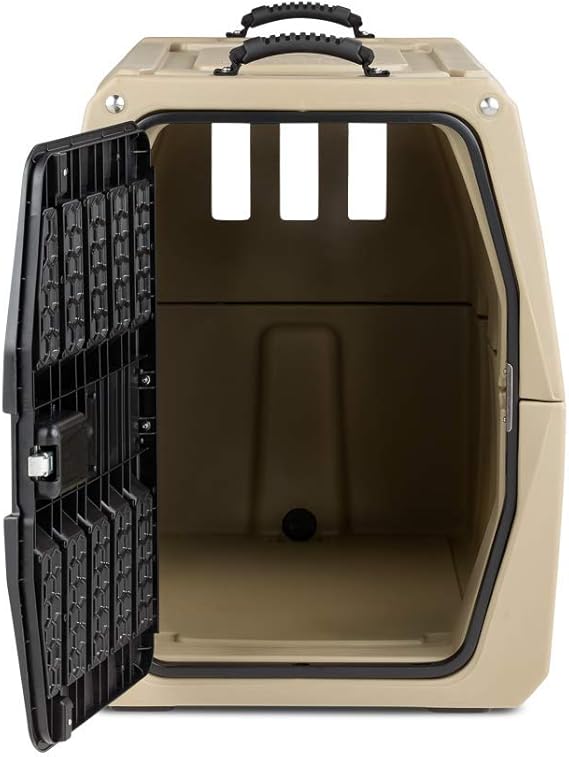 g1 intermediate kennel