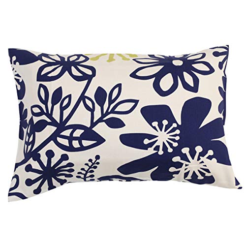 Jo[ 43×63cm 킹 k ԕ 킢  100 vy { sP[X (Jo[, ~AlCr[)