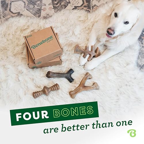 Image of Benebone Small 4-Count Dog Toys for Aggressive Chewers - Under 30 lbs, Small (Pack of 8)