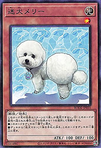 遊戯王カード 迷犬メリー(ノーマルレア BURST OF DESTINY(BODE | バースト・オブ・デスティニー 効果モンスター 光属性 獣族 ノーマル レア 遊戯王カード 迷犬メリー(ノーマルレア BURST OF DESTINY(BODE | バースト・オブ・デスティニー 効果モンスター 光属性 獣族 ノーマル レア