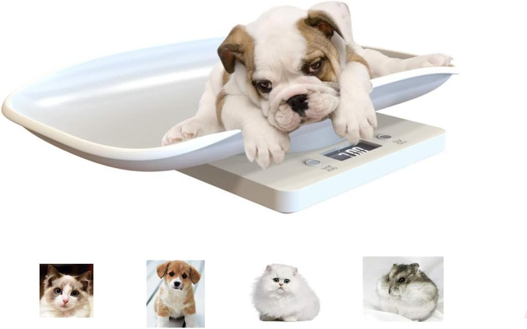 Pet Scales,Digital Pet Scale,Pet electronic scales for dogs,cats,puppies,birds and small animals up to 10 Kg,2xAAA battery（Not included）