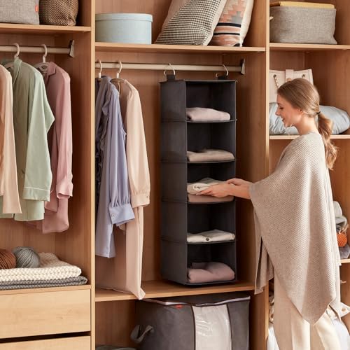 Lifewit Hängeregal, Schrank Organizer, Hängesystem Kleiderschrank, Hängeaufbewahrung aus Stoff, Ordnungssystem Kleiderschrank, Faltbar und Platzsparend mit Metallhaken, 2 Stück, Grau