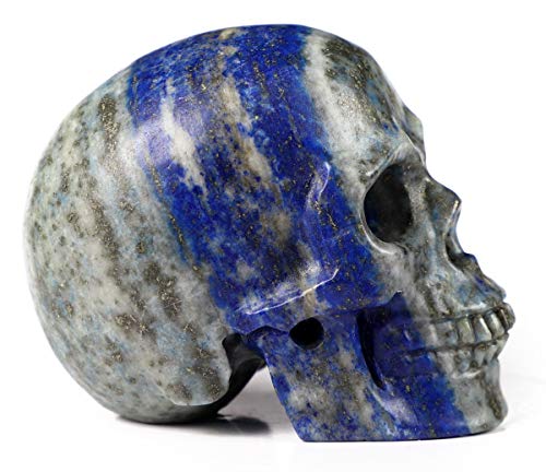 Escultura de Calavera de Lapislázuli 2.0 Pulgadas miniatura 4