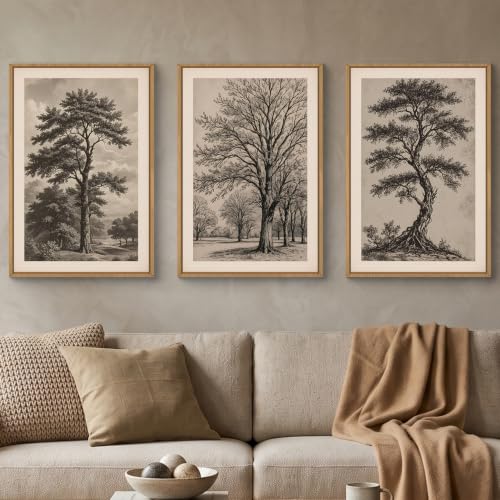 HPINUB Vintage Sketch Tree Framed Canvas Wall Art Set,Modern Nature Botanical Wall Decor, Antique Wilderness Tree Artwork,Minimalist Neutral Art Prints for Living Room,Bedroom,Farmhouse-24 x36 x3