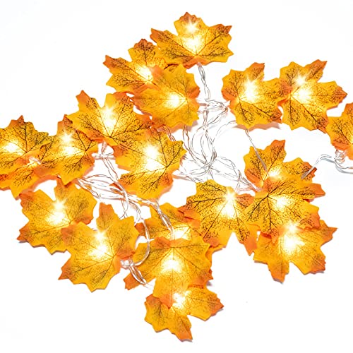 Ainkedin Halloween-Lichterkette, Herbstdekoration, 20 LEDs, 2 m, für Kürbis, Hochzeit, Geburtstag, Party, Wand und Heimdekoration, Halloween-Tischdekoration, Weihnachtsbeleuchtung Cover