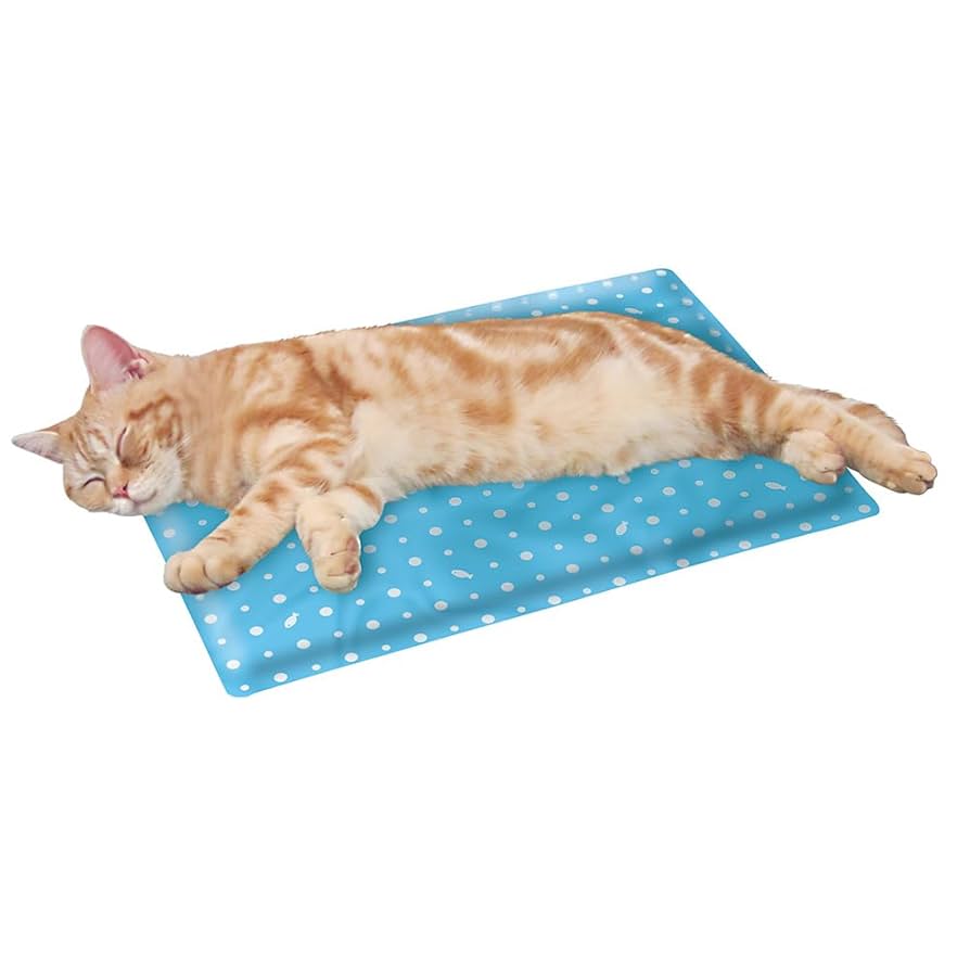 ねこまるさん専用 通気性抜群な箱とねこ3。-Excellent Breathable Box and Maru 3