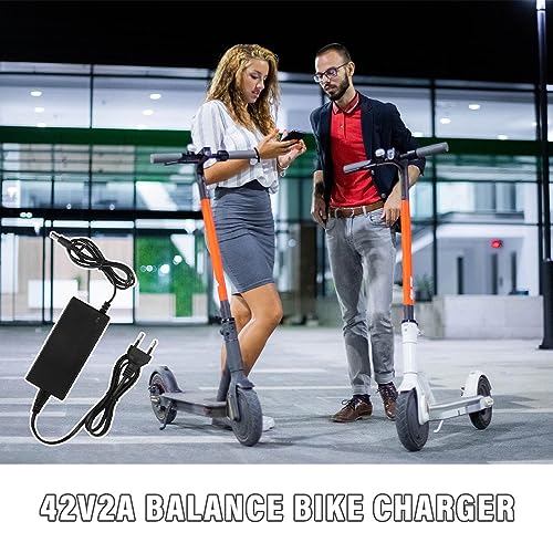 YANGUN Oplader voor scooter, hoverboard, oplaadkabel, e-scooter, oplader, universele oplader met 6 aansluitingen, oplader voor scooter, 36 V accu, oplader, uitgang, 42 V, 2 A, voeding voor elektrische - Afbeelding 5