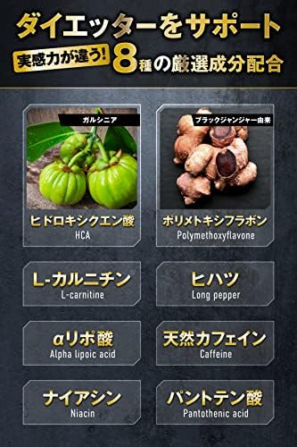 REYS プレミアムバーナー 使い方 飲み方 1日4粒 運動前