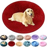 Donut Dog Bed Cat Bed 20 Inch - Multi-Size Round Fluffy Dog Beds for Small Dogs and Cats, Anti-Anxiety Donut Dogs Cuddler Bed, Washable Pet Bed for Medium Cats (Red)