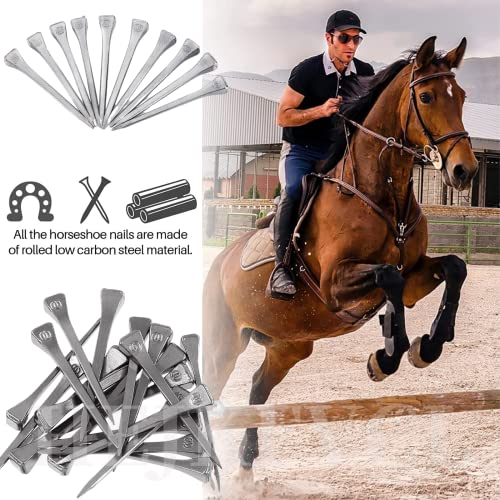 Hejkfvcl Horse Hoof Nails Horseshoe Tools - 75Pcs Horseshoe Nails Assortment Kit Steel Horseshoe Tools For Horse Training Equestrian Sports #TOP6