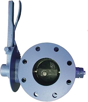 3" Flanged Cast Iron Silent Check Valve 1803A-DSY - 1 Each
