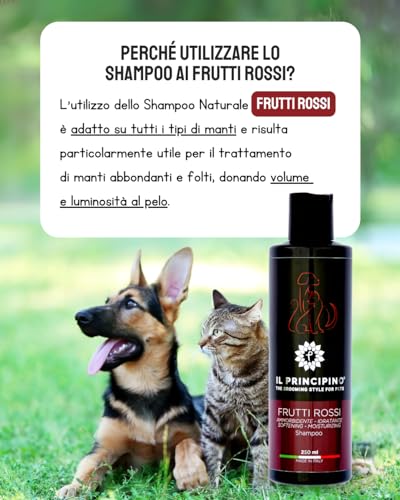 Jojoba Hundeshampoo Rote Früchte, Konzentrat, antiallergisch, weich und hell, pflegendes Shampoo, sanftes Shampoo, ideal für Hunde, kurzes Fell und langes Haar, 250 ml (Duft rote Früchte)