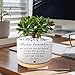 WSLCHOVE Inspirational Gifts for Women, Cute Succulent Plant Pot, Cactus Flower Planter for Plant Lover, Gardening Motivational Encouragement Cheer Up Gift for Women Men Friend (Plants Not Included)