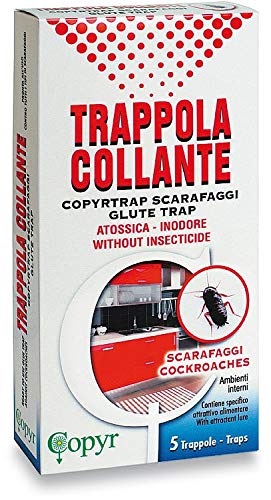 COPYR 14856 Klebefalle für Kakerlaken, Gelb, 5 Stück