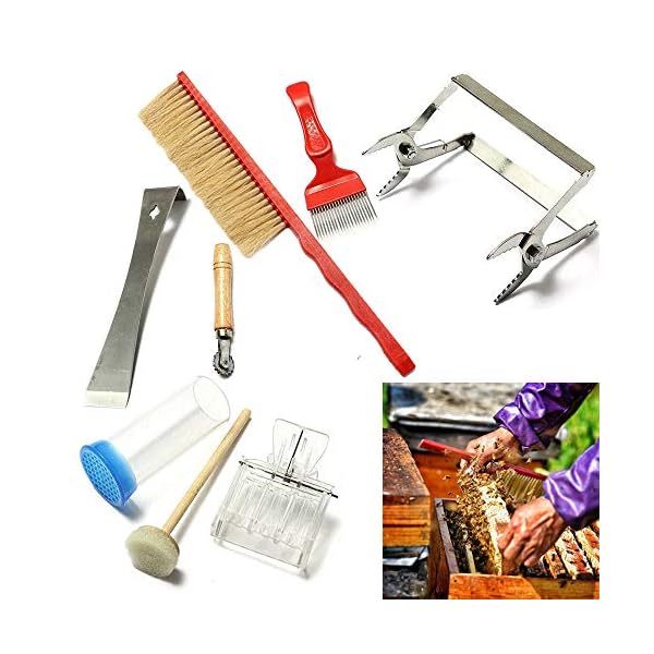 Bienenzucht Werkzeug Set, 7 Stück Eine Reihe Imkereiausrüstung Kit Bee Sweep Slot Rahmen Schaber Marker Flasche König… – Bild 8