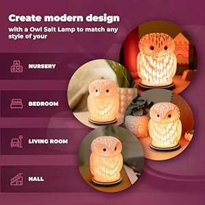 Owl crystal salt lamp h 67 44 lbs pure natural rock saltunique night light lamp 1 light bulb as a gift wooden present box holiday gift ideas cool room decor  urban country home decor