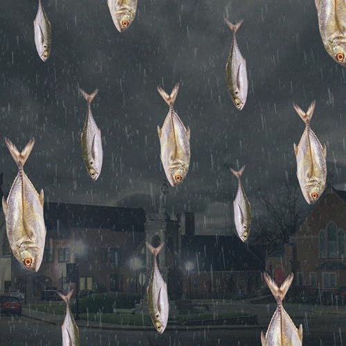 SCP-1686 Fishy Rain