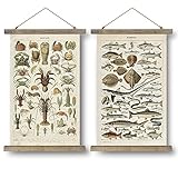 SHOXREM Vintage Poster,Rustic Art Prints, Retro Style of Wall Hanging for Living Room Office Classroom Bedroom Playroom Apartment Decor. (Sea Creature 2Panels, 16“ x 24”)