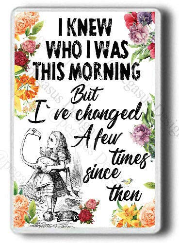 Pegasus Designs Alice In Wonderland Large Size Magnet, I Knew Who I Was This... Fridge Magnet