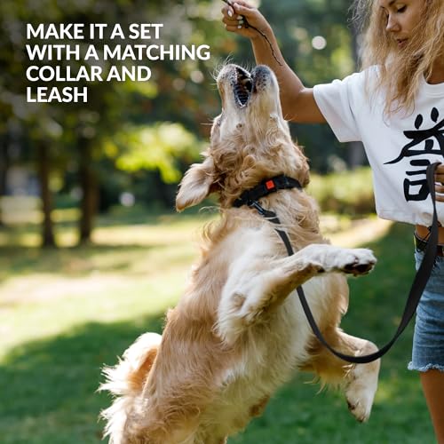 CollarDirect Maulkorb – Verstellbarer, weicher, atmungsaktiver Nylon-Mundschutz für kleine, mittelgroße und große Hunde, Anti-Kauen, Bellen und Beißen (Schwarz, L/XL)