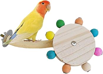 木製 鳥用スタンド ぶら下がりおもちゃ付き*10 Amazon | インコ おもちゃ鳥 おもちゃ鳥の止まり木 インコ