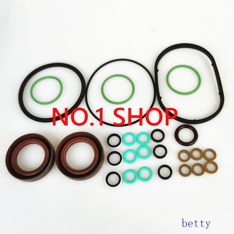 2 bag,CP1H3 repair kit is used For CP1H-4DC of pump 0445010158 R85/10-7895S,repair kit F01M101455 - (Color: F01M101455)