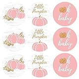 Pink and Gold Little Pumpkin Girl Baby Shower Kisses Candy Stickers - Fall Baby Shower Party Favor...
