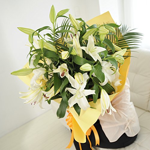 フェネック キスする アライさん いいよ サーバル いいの ニコニコ動画