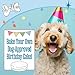 The Lazy Dog Cookie Co. Bake-at-Home Vanilla Birthday Cake Mix Dog Treat, 12-oz