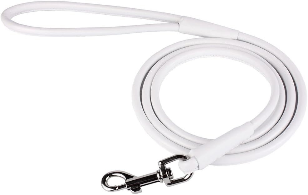 CollarDirect Rolled Leather Dog Leash 4ft, Soft Padded Training Leather Dog Lead 6ft, Puppy Leash Small Medium Large Black Blue Red Orange Green Pink White (Red, Size S 6ft)