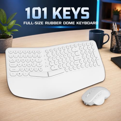 Image of ANT Master 80 Wireless Keyboard and Mouse Combo, Full-Size 101-Key Keyboard, 2.4G + Bluetooth, Rechargeable, 800 /1200 /1600 DPI 6D Mouse, USB Receiver, Windows /Linux, White