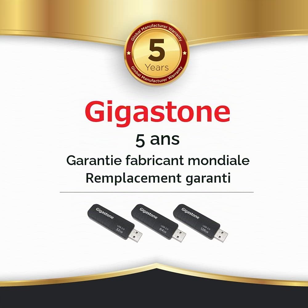 GIGASTONE 128Go Clé USB Flash (Lot de 5) V30 USB 2.0, Haute Vitesse, Boucle Porte-clés, Design Coulissant, Stockage et Sauvegarde pour PC/Mac/TV/Voiture