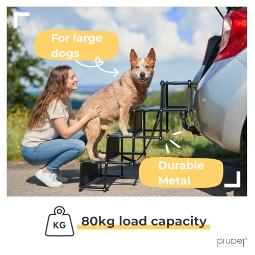 Best Folding Compact Pet Steps